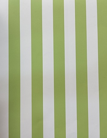 Strip Classic Home and Office Wallpaper CS66048