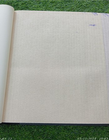 Home and office Wallpaper for walls (RN - 11)