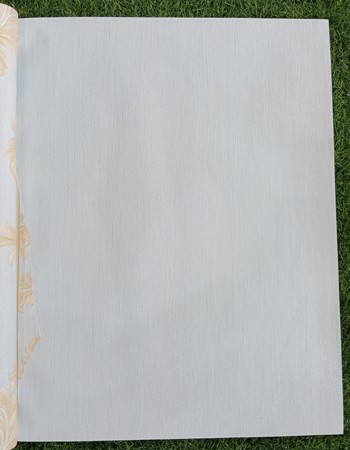 Home and office Wallpaper for walls (168121)