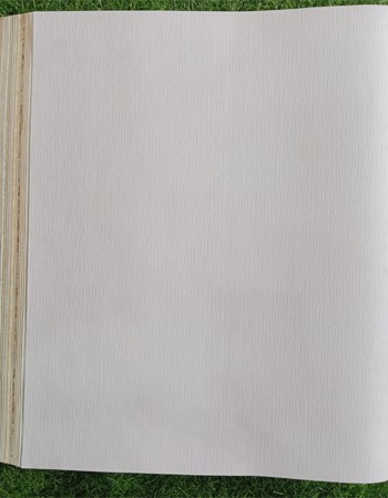 Home and office Wallpaper for walls (HU 611367)