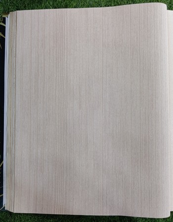 Home and office Wallpaper for walls ( TE 550368)