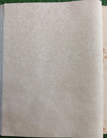 Home and office Wallpaper for walls ( VV960204)