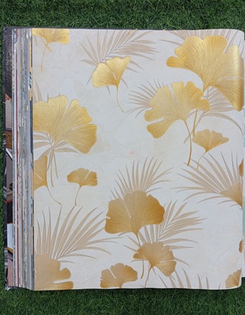 Avatar Home and Office Wallpaper (AVT 34)