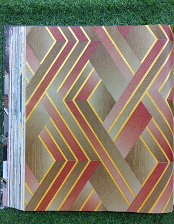 Avatar Home and Office Wallpaper (AVT 42)