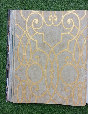 Avatar Home and Office Wallpaper (AVT 57)