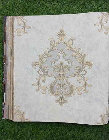 Avatar Home and Office Wallpaper (AVT 75)