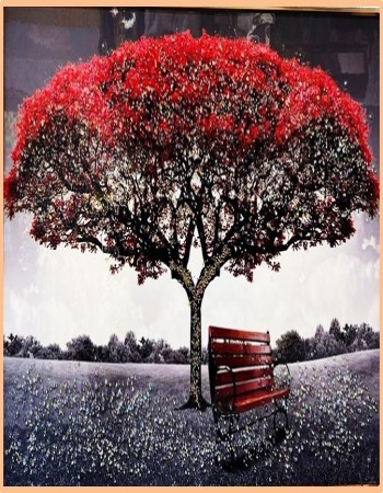 NAME  : BLACK KIRSNOCURA AND BENCH