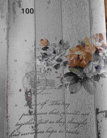 WALL DREAM Home and Office Wallpaper