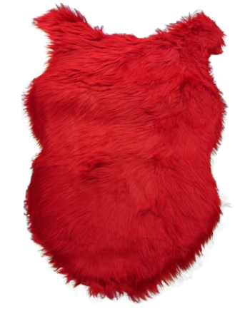 Shag Rug  Add a pop of color to your home decor