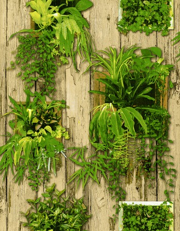 LOVELY Affordable wallpapers without compromising on style