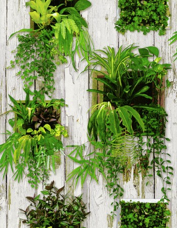 LOVELY Affordable wallpapers without compromising on style