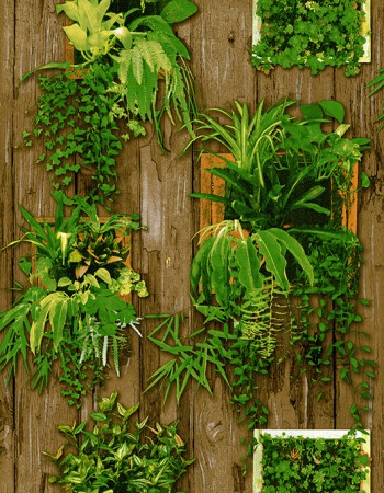 LOVELY Affordable wallpapers without compromising on style