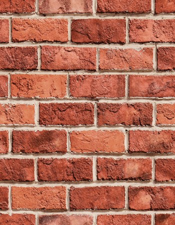 LOVELY Affordable wallpapers without compromising on style