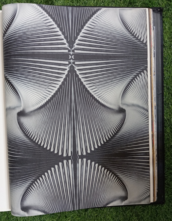 MODERN TIMES Affordable wallpapers without compromising on style