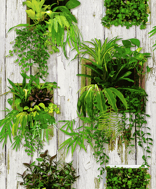 LOVELY Affordable wallpapers without compromising on style