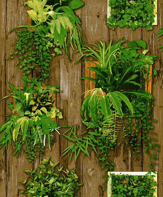 LOVELY Affordable wallpapers without compromising on style