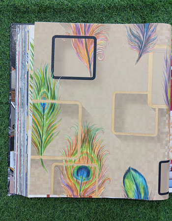 Avatar Home and Office Wall 39,1