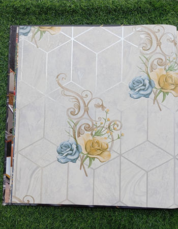 Avatar Home and Office Wallpaper ( AVT 04)