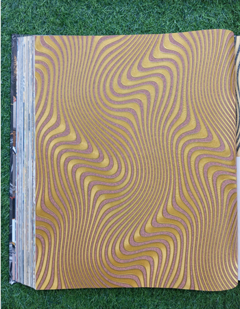 Avatar Home and Office Wallpaper (AVT 73)