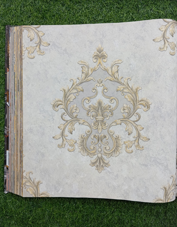 Avatar Home and Office Wallpaper (AVT 75)