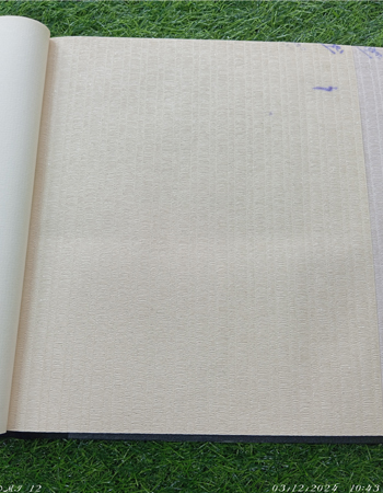 Home and office Wallpaper for walls (RN - 11)