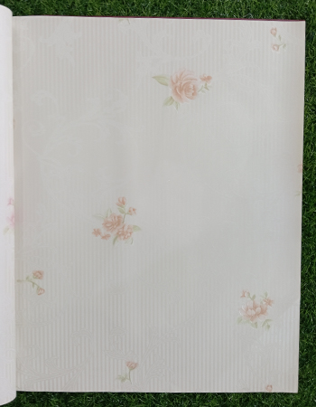 Home and office Wallpaper for walls ( HR 010507)