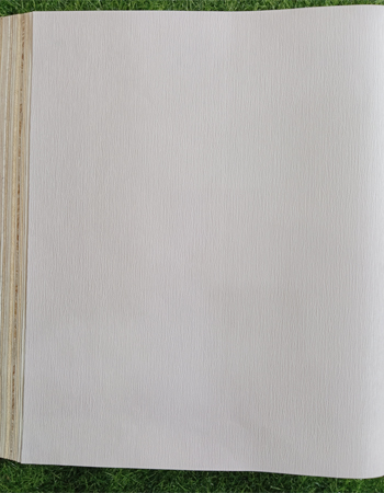 Home and office Wallpaper for walls (HU 611367)