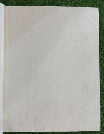 Home and office Wallpaper for walls ( ML 561101)