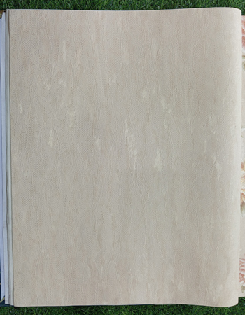 Home and office Wallpaper for walls ( ML 561102)