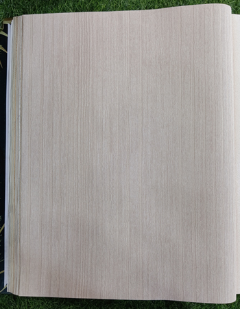Home and office Wallpaper for walls ( TE 550368)