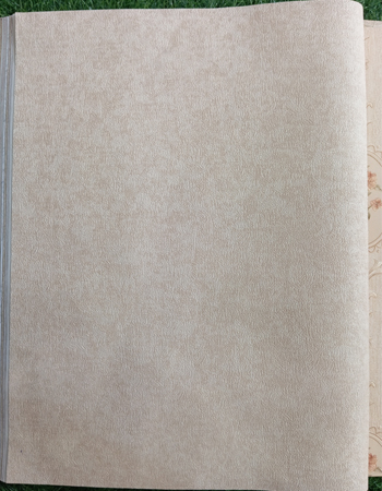 Home and office Wallpaper for walls ( VV960204)