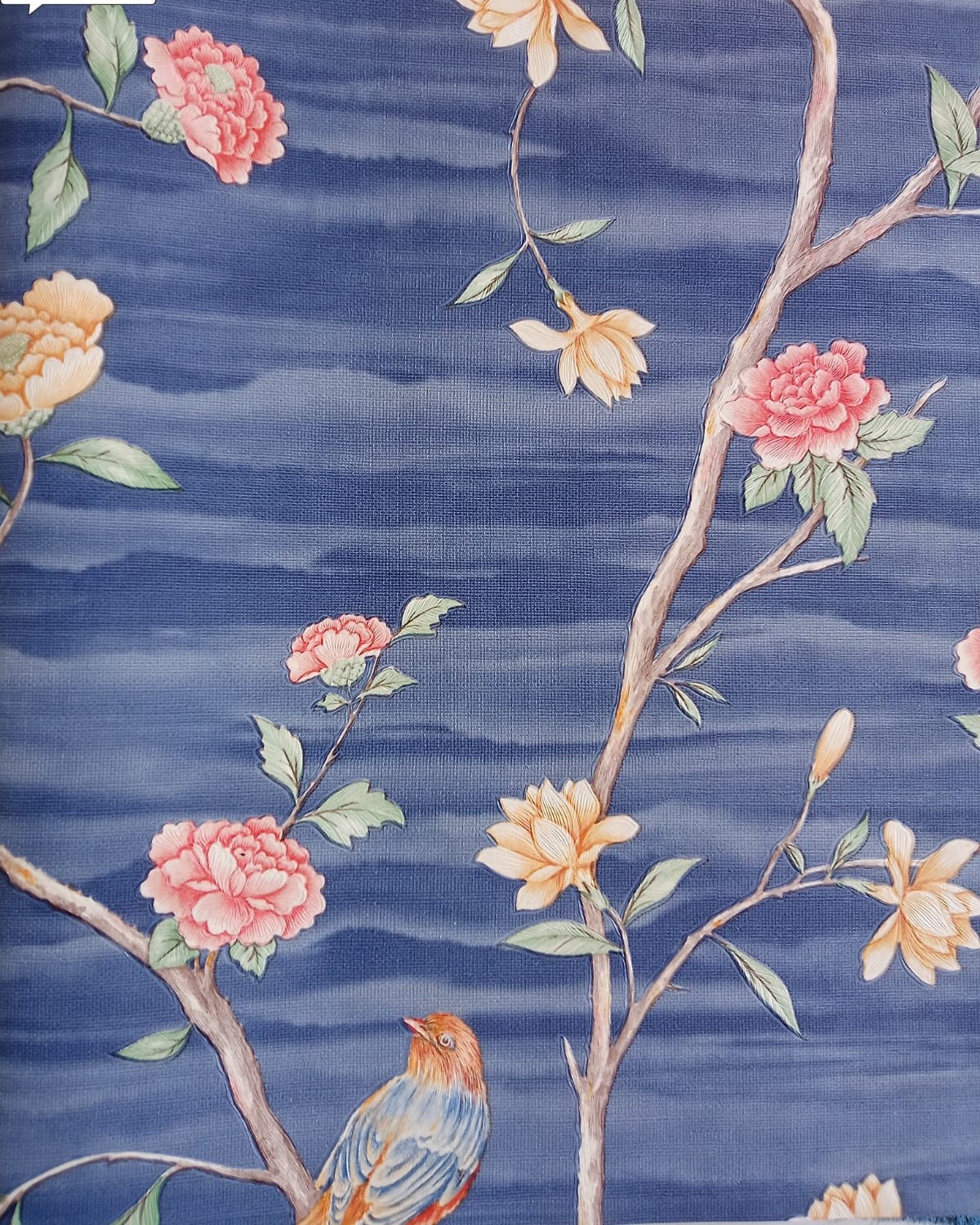 WALL FASHION Home and Office Wallpaper(WF-98)